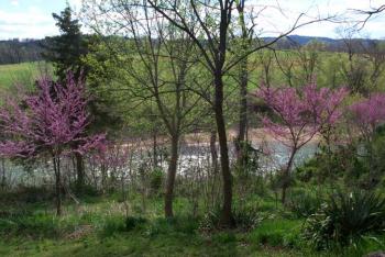  Air conditioned 
All units have kitchens (including microwaves, coffee makers, toaster, cooking utensils) 
Color TV 
Free Coffee 
Hot Tub in some units 
Fireplace in some units 
BBQ grills and patio furniture in each unit 
Horseback riding & Golf nearby 
5 miles to Eureka Springs